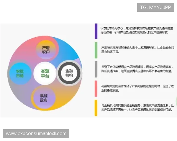 2024年最新老虎机娱乐官网入口网址大全，提供多平台安全登录通道