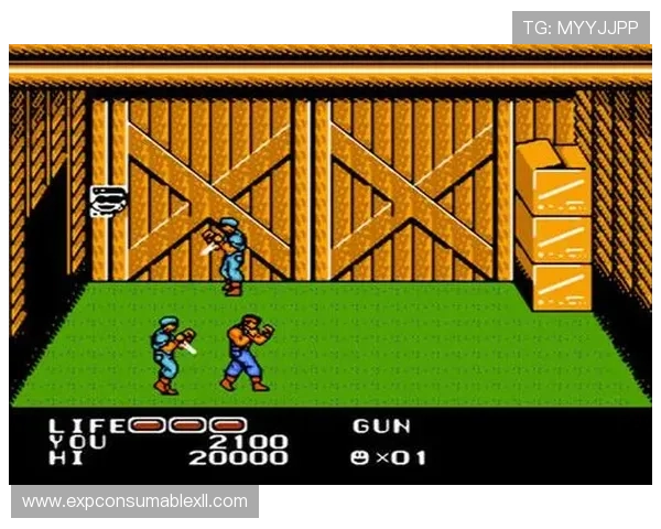 FC老虎机不同类型游戏介绍满足多样玩家需求的最佳选择