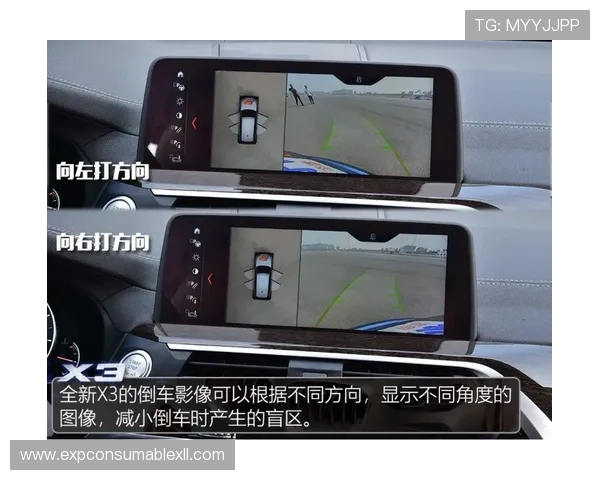 奔驰宝马官网下载安全指南，保障用户信息安全与软件稳定运行
