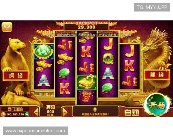 老虎机游戏玩法技巧全面解析提升游戏体验与中奖率